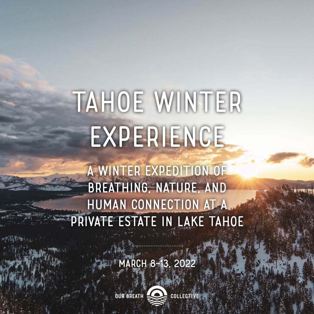 Tahoe Winter Experience