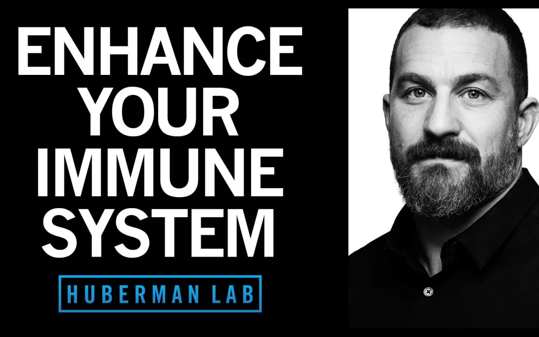 Andrew Huberman on tools to enhance your immune system