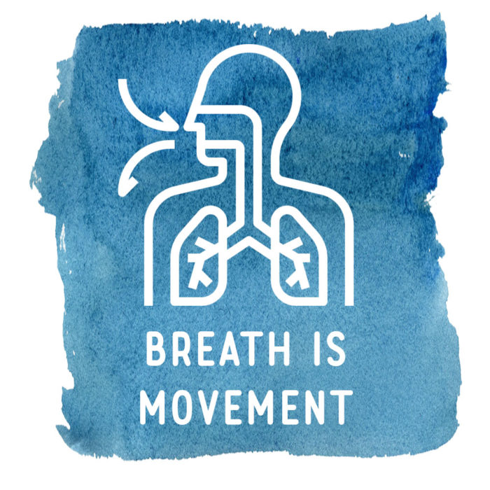 Breath Is Movement Breathing Mechanics On-Demand Course