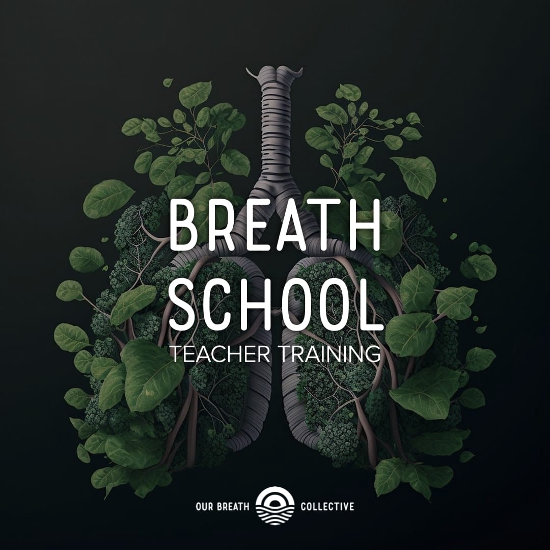 Our Breath Collective Breath School Teacher Training